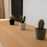 Posnania Chic With Garden By Bookinghost * Poznań